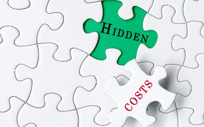 Hidden Costs in Taxi Services